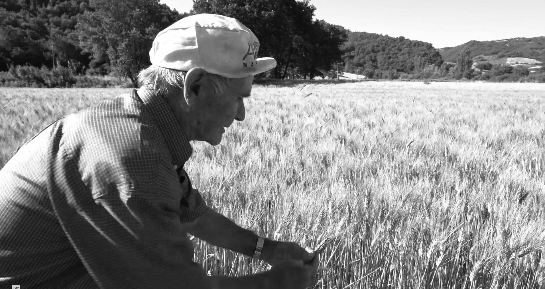 Andrea Valiante_agricoltore_Jelsi