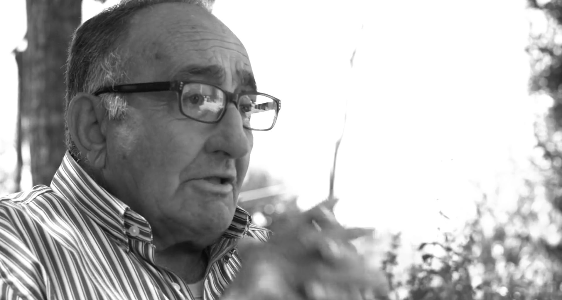 Luigi Pilosi_agricoltore e organizzatore sfilata delle gregne_Fontanarosa