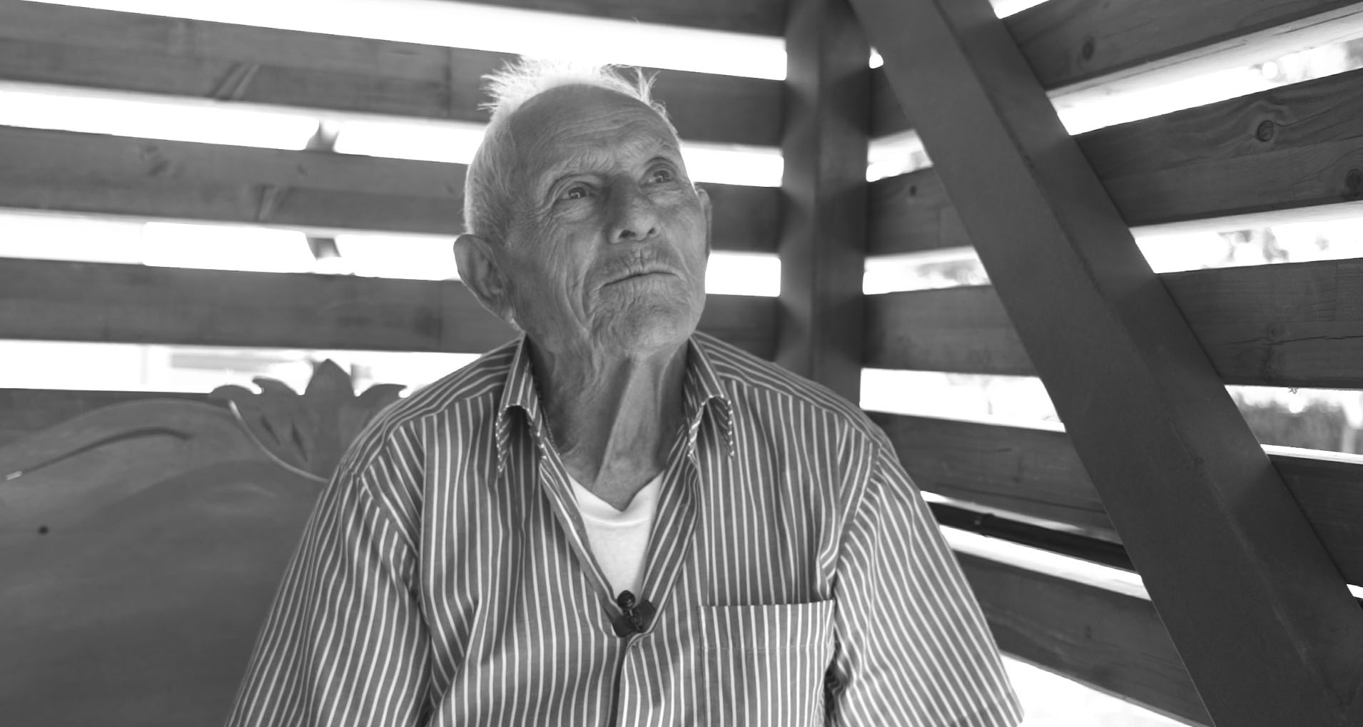 Nicola Maria Peccerilli_maestro del campo del Giglio_Flumeri