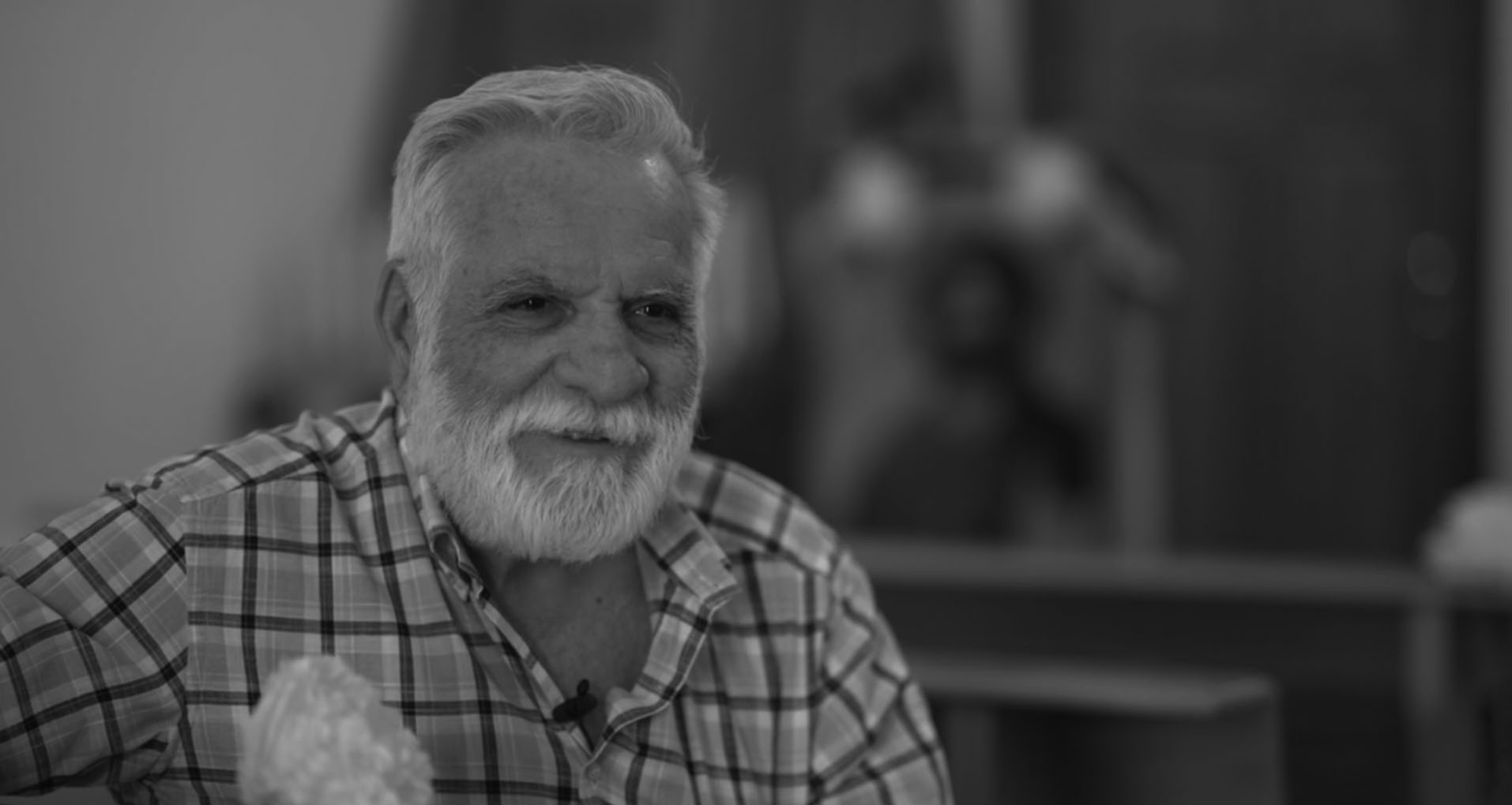 Romualdo Passarelli_emigrato_Jelsi
