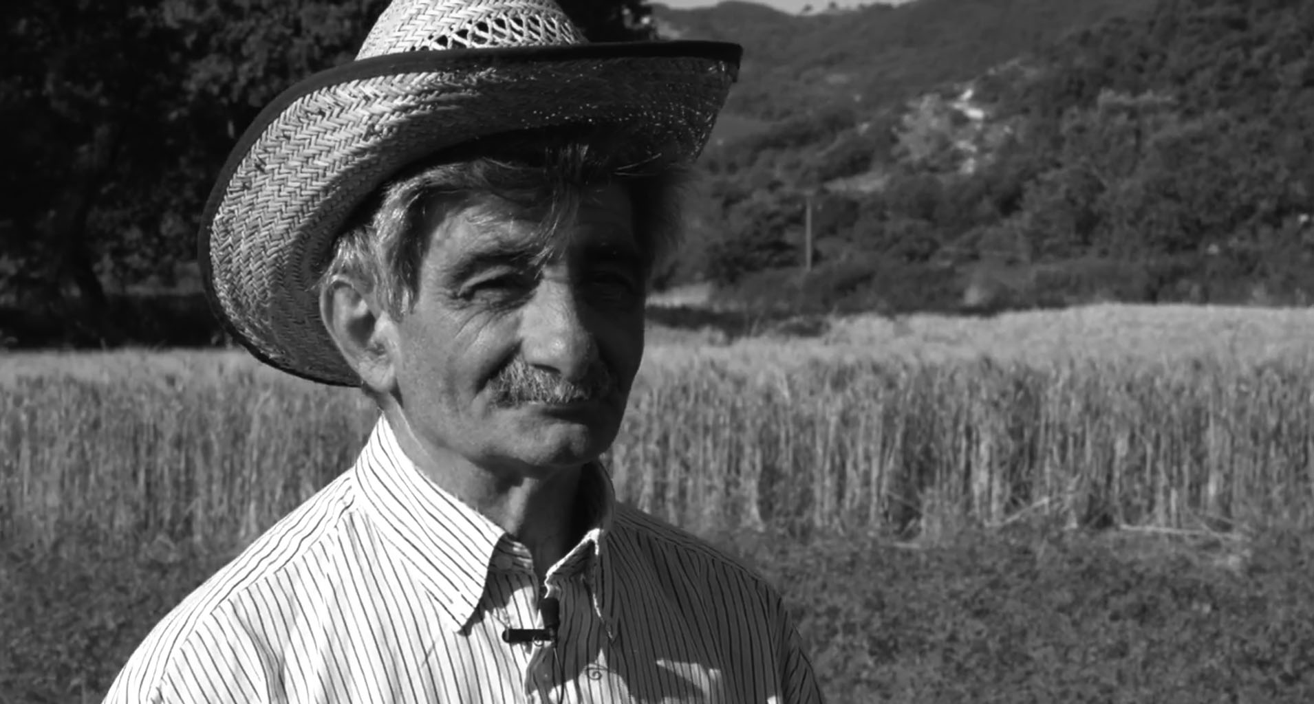 Zilembo Biagio_allevatore_Jelsi
